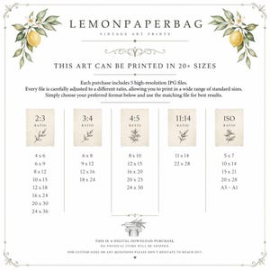 Może przedstawiać: Tabela informacyjna dotycząca cyfrowych wydruk&oacute;w artystycznych z ilustracjami cytryn w g&oacute;rnych rogach. Tekst zawiera LEMONPAPERBAG VINTAGE ART PRINTS, THIS ART CAN BE PRINTED IN 20+ SIZES oraz listę r&oacute;żnych proporcji i wymiar&oacute;w.
