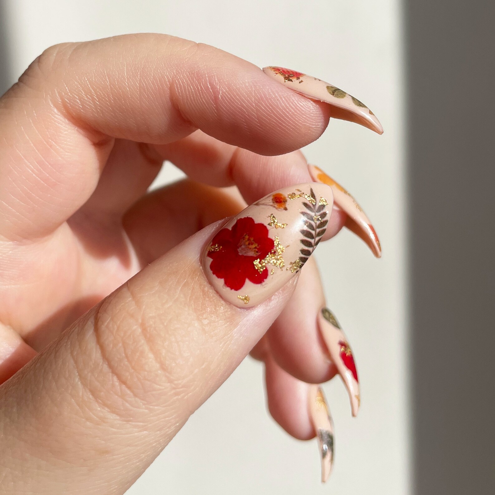 Reusable Pressed Dried Flowers Presson Nails Ver. 1 With Etsy