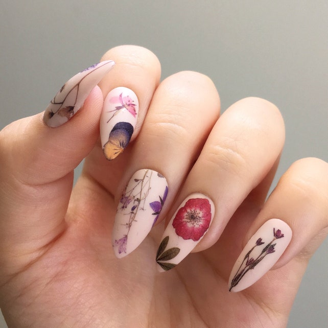 Káº¿t quáº£ hÃ¬nh áº£nh cho dried pressed flowers nails