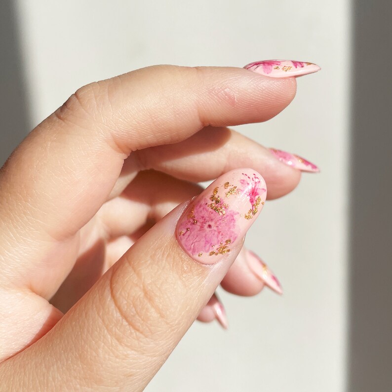 Reusable Pressed Dried Cherry Blossom Sakura Flowers Presson Etsy