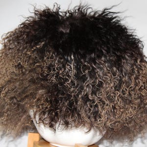 Può includere: Parrucca riccia con effetto ombré marrone scuro-marrone chiaro. La parrucca è acconciata con ricci stretti e voluminosi ed è posta su un supporto per parrucca bianco. I capelli hanno un aspetto naturale e strutturato.