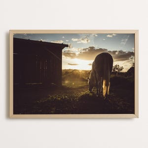 Horse at Sunset – Warm Minimalist Printable Wall Art