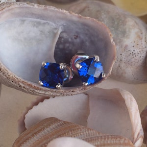 Puede incluir: Un par de pendientes de plata con detalles de piedras preciosas azules. Los pendientes se muestran sobre un fondo de concha.