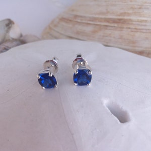 Puede incluir: Un par de pendientes de plata con piedras preciosas azules. Los pendientes est&aacute;n sobre un fondo blanco.