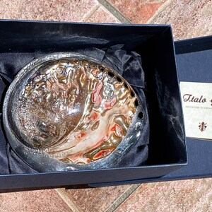 Può includere: Una grande conchiglia di abalone iridescente in una scatola di velluto blu. La conchiglia presenta un motivo naturale e organico di marrone, rosa e bianco. La scatola ha un'etichetta che recita "Italo Gori Argentieri in Firenze dal 1910".