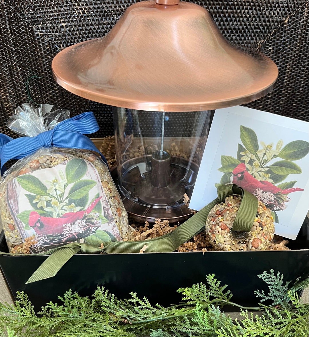 Copper Look Bird Feeder & Birdseed Cake W/ Ribbon Mini Card Etsy