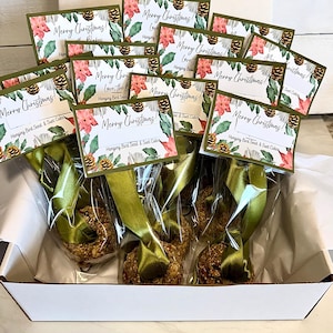 12 Packaged, Christmas ,personalized ,bird seed wreaths laced with moss green ribbon. Hook included