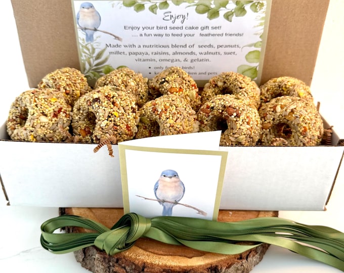Vitamin Enriched Bird Seed Cakes – No-Mess Wild Bird Treats for Hanging