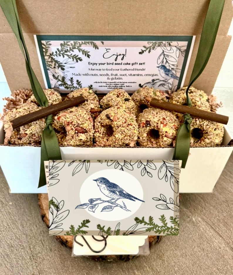 Pasteles de semillas para pájaros enriquecidos con vitaminas con comederos de cinta – Regalos para pájaros silvestres