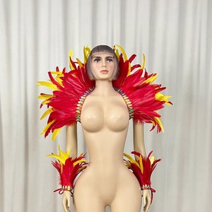Può includere: Set di costume in piume rosse e gialle con un grande colletto, polsini e gambali. Il costume è fatto di piume e ha un'atmosfera festosa e carnevalesca.