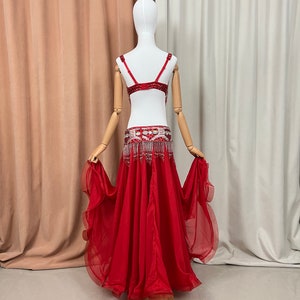 Livraison gratuite Costume de samba de danse du ventre en perles à la main or blanc rouge bleu royal soutien-gorge ceinture jupe image 5