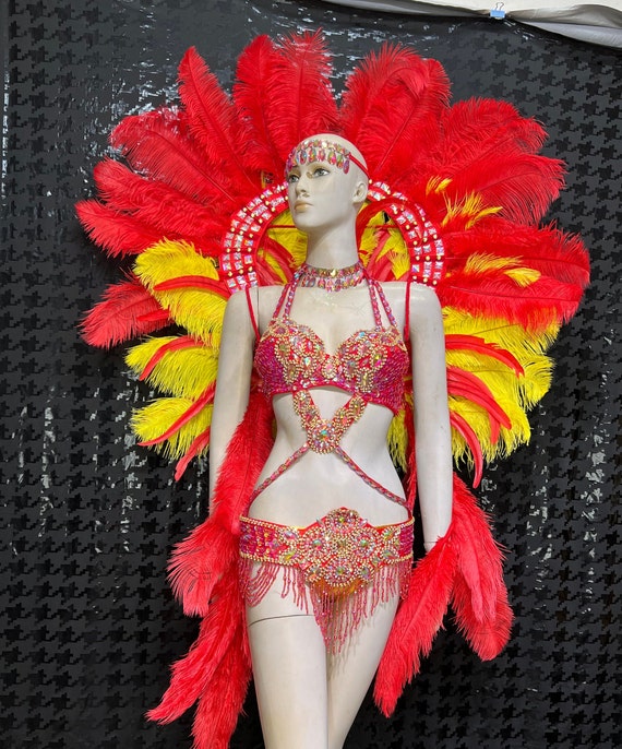 Hand Made Samba Carnival Wire Bra and Panty Hand Beads Passista