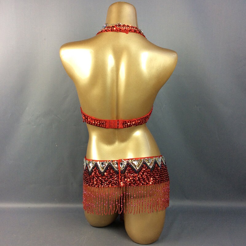 FREE SHIPPING Hand Beaded Belly Dance Samba Costume Halloween Costumes Bra  Belt 2pcs Red -  Canada