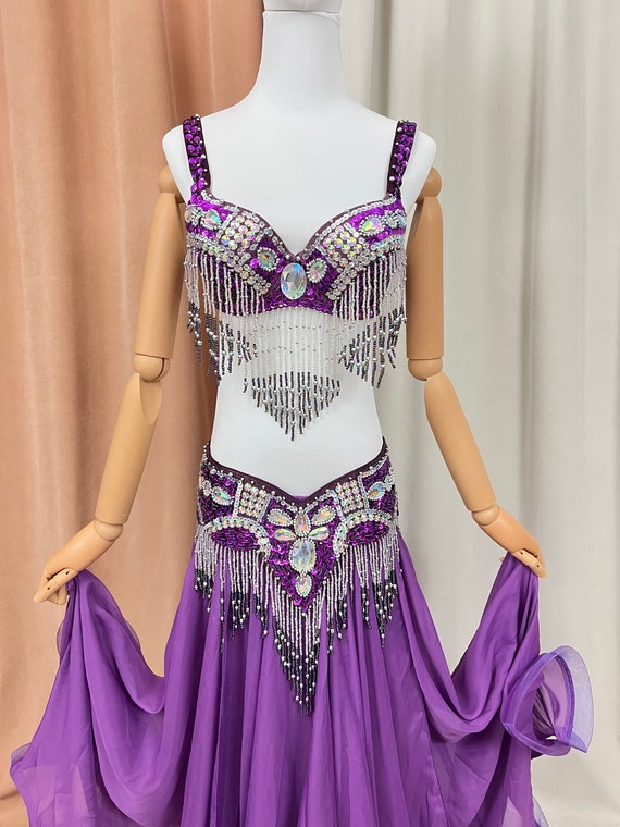Women Purple Imported Chiffon Belly Dance Costume Indian Dance Skirt with Coins India Belly Dance Costume Set Halloween Dance Skirt Costume  main image 3