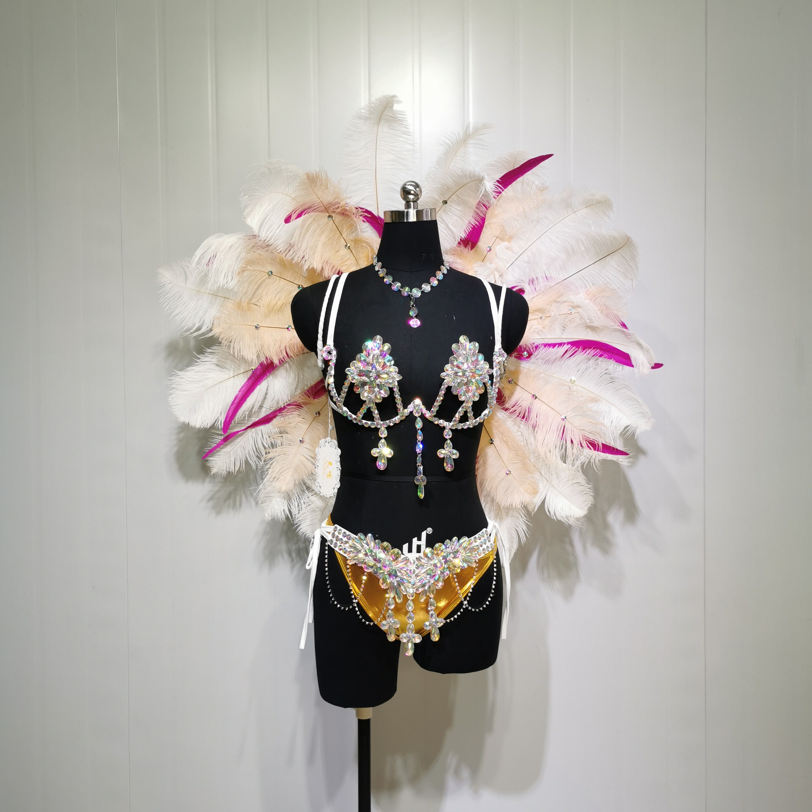 Buy Samba Carnival Wire Bra and Panty and Feather Hand Beads Passista  Pageant Cabaret Broadway Theater Mardi Gras, Vegas Showgirl CF002 Online in  India 