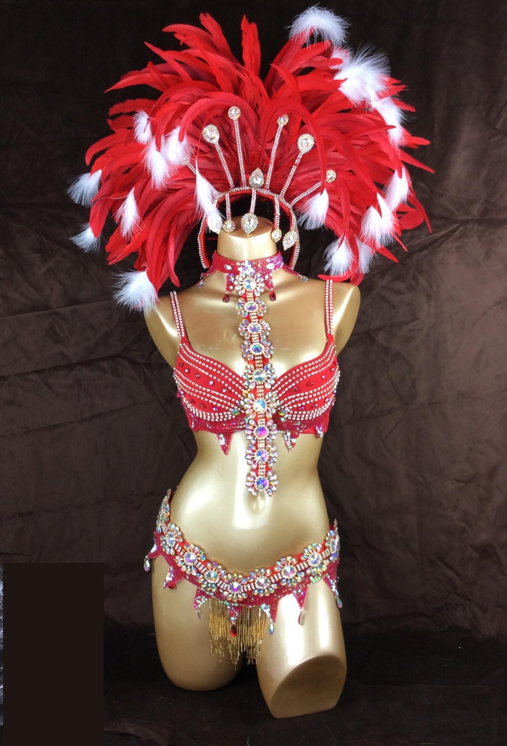 Samba Carnival Wire Bra and Panty and Feather Hand Beads Passista