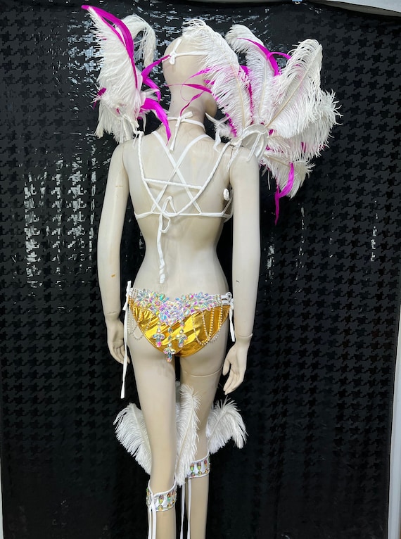 Samba Carnival Wire Bra and Panty and Feather Hand Beads Passista Pageant  Cabaret Broadway Theater Mardi Gras, Vegas Showgirl -  Hong Kong
