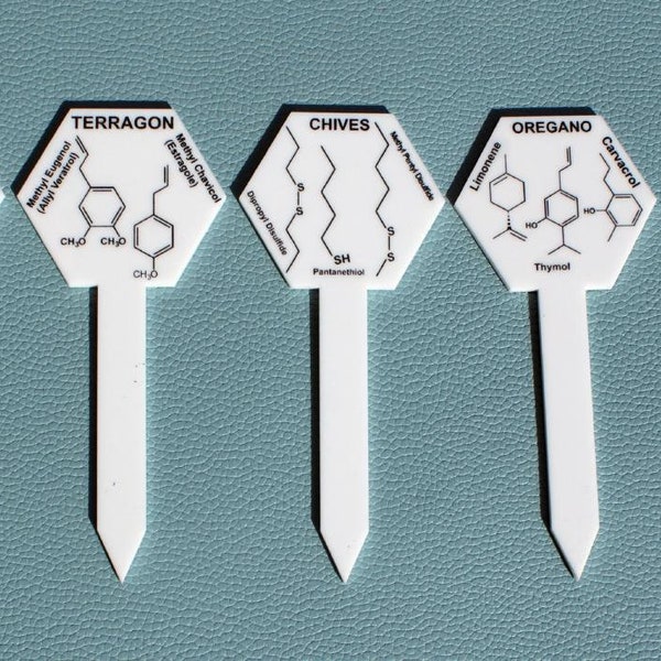 Herb Garden Markers with Flavor and Taste Chemical Structures in Lasered Acrylic