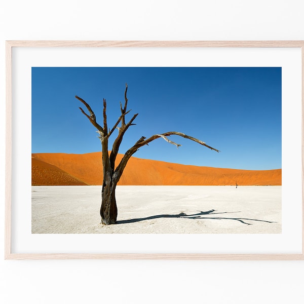 Petrified Skeleton tree at Deadvlei inside the Namib-Naukluft Park Namibia, namib desert, Africa, wall decor, office decor, photo,