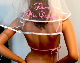 Personalized Veil, Bridal Shower Veil, Monogrammed Veil, Bachelorette Veil. Buy individually or as a Set.