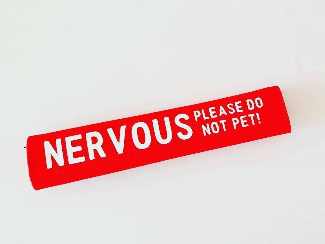 Dog Lead Warning Wrap Please Do Not Pet Wording of Your Etsy UK