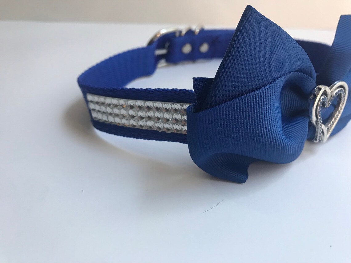 Blue Heart Dog Collar Blue Dog Collar Royal Blue Dog Collar Etsy