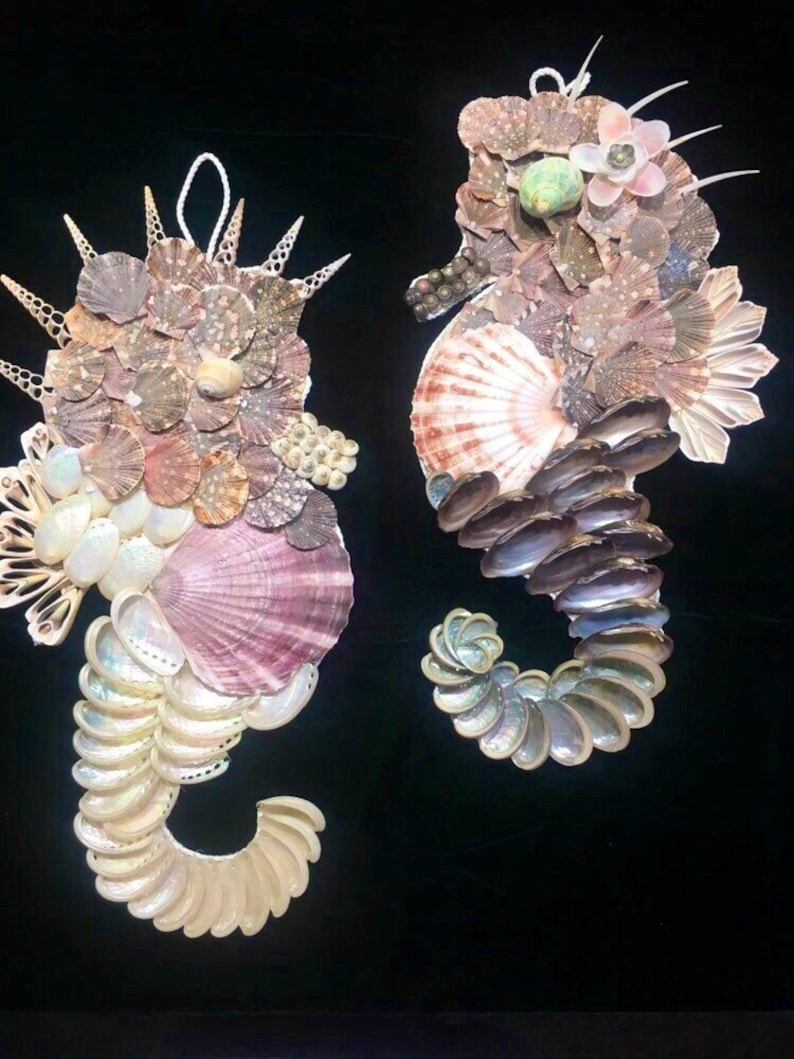 Mr /& Mrs Seahorse Coastal Decor Beach Home Decor Tropical Wall Decor Coastal Bath Decor She shed decor