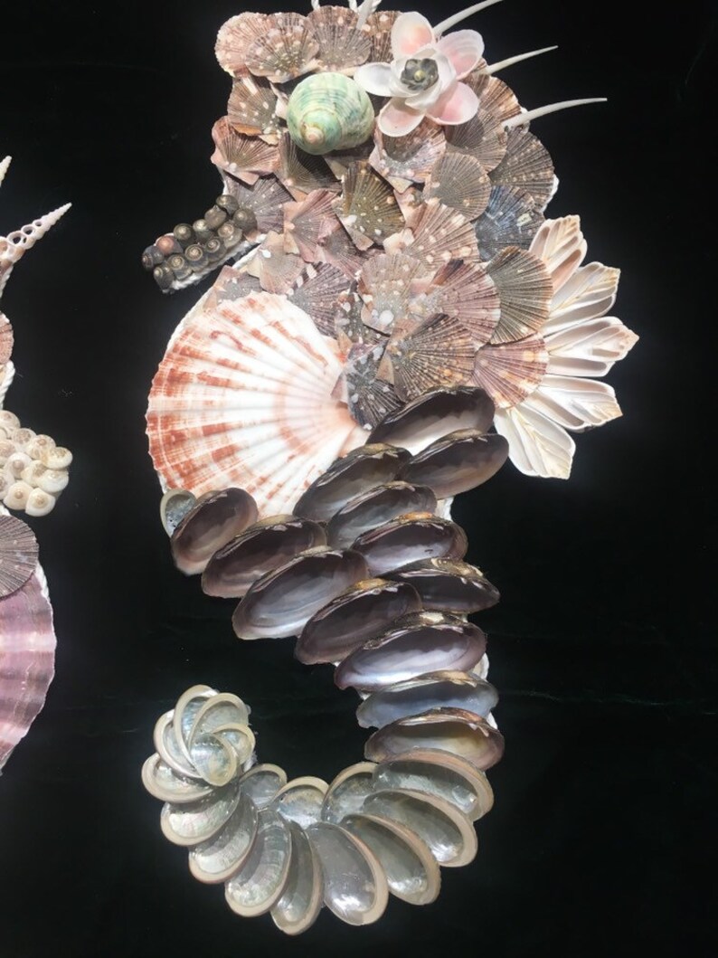 Mr /& Mrs Seahorse Coastal Decor Beach Home Decor Tropical Wall Decor Coastal Bath Decor She shed decor