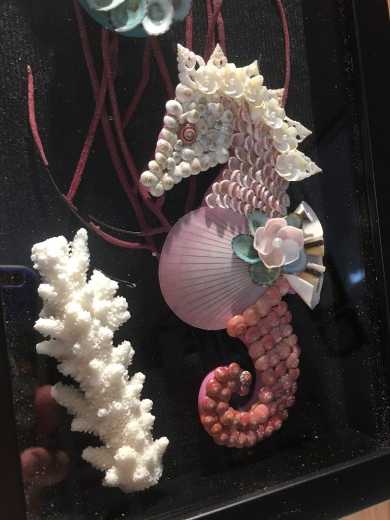 Unusual Framed Seahorse Decor Seashell wall artHome Etsy