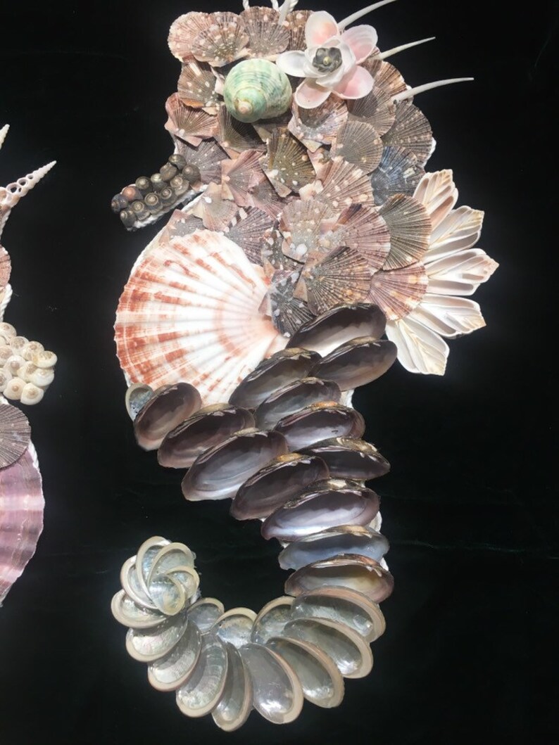 Mr /& Mrs Seahorse Coastal Decor Beach Home Decor Tropical Wall Decor Coastal Bath Decor She shed decor