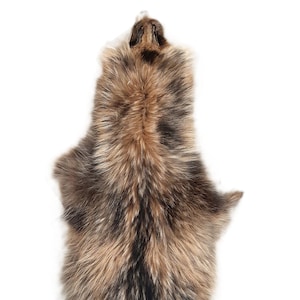 Finn Raccoon Dog Tanuki Fur Pelt (Finland), LG