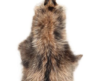 Finn Raccoon Dog Tanuki Fur Pelt (Finland), LG