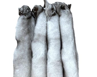 Blue Fox Pelt, LUXURIOUS!