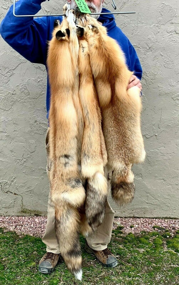 Hide Winter “Heavy Fur,”  large Grades 1 & 2 Pelt Tanned Red Fox Fur 
