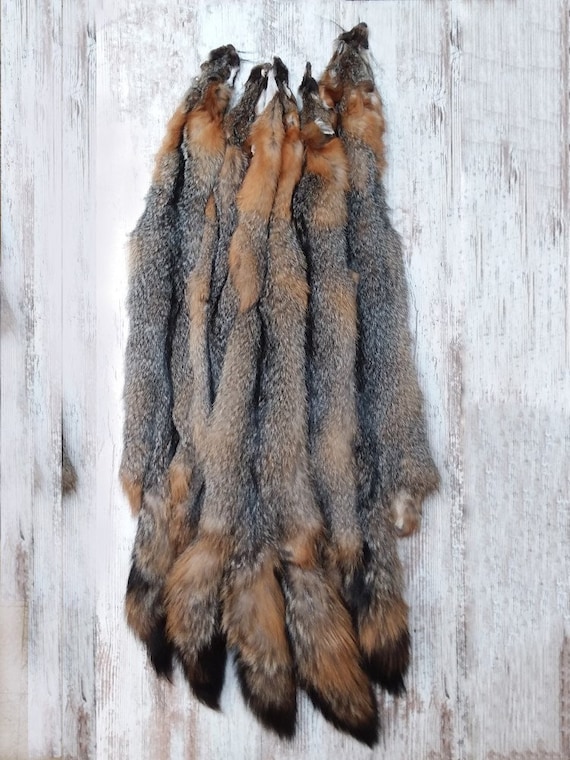 Tanned Grey Fox Fur Pelt 