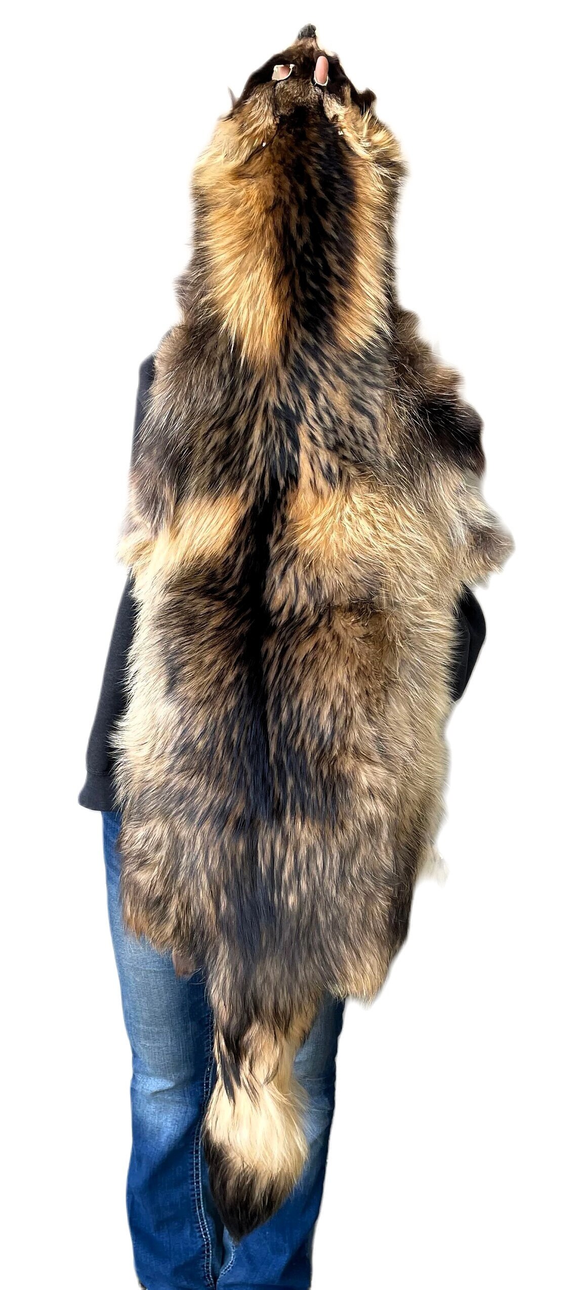Finnish Raccoon, Tanuki Dog Fur Pelt (finland), 1X-2X - Etsy