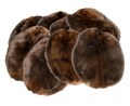 Beaver Fur Pelt, Tanned