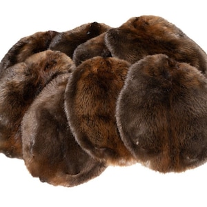 Beaver Fur Pelt, Tanned