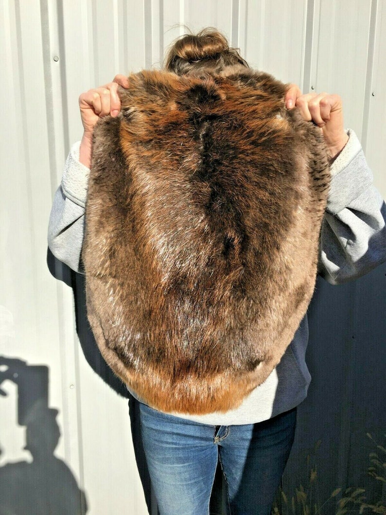 1 Tanned Beaver Pelt Premium Grade Prime Beapremo Etsy