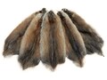 Muskrat Fur Pelt, Tanned