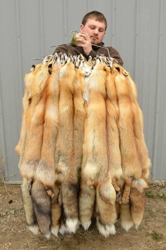 Hide Winter “Heavy Fur,” large Tanned Red Fox Fur Pelt Grades 1 /& 2