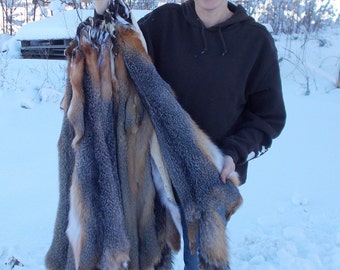 Professionally-Tanned-Grey-Fox-Pelt-fur-grayfx39+