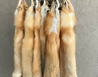 Tanned Red Fox Winter “Heavy Fur” Western Extra Large Medium Grade No Tail (rfwhnotail)