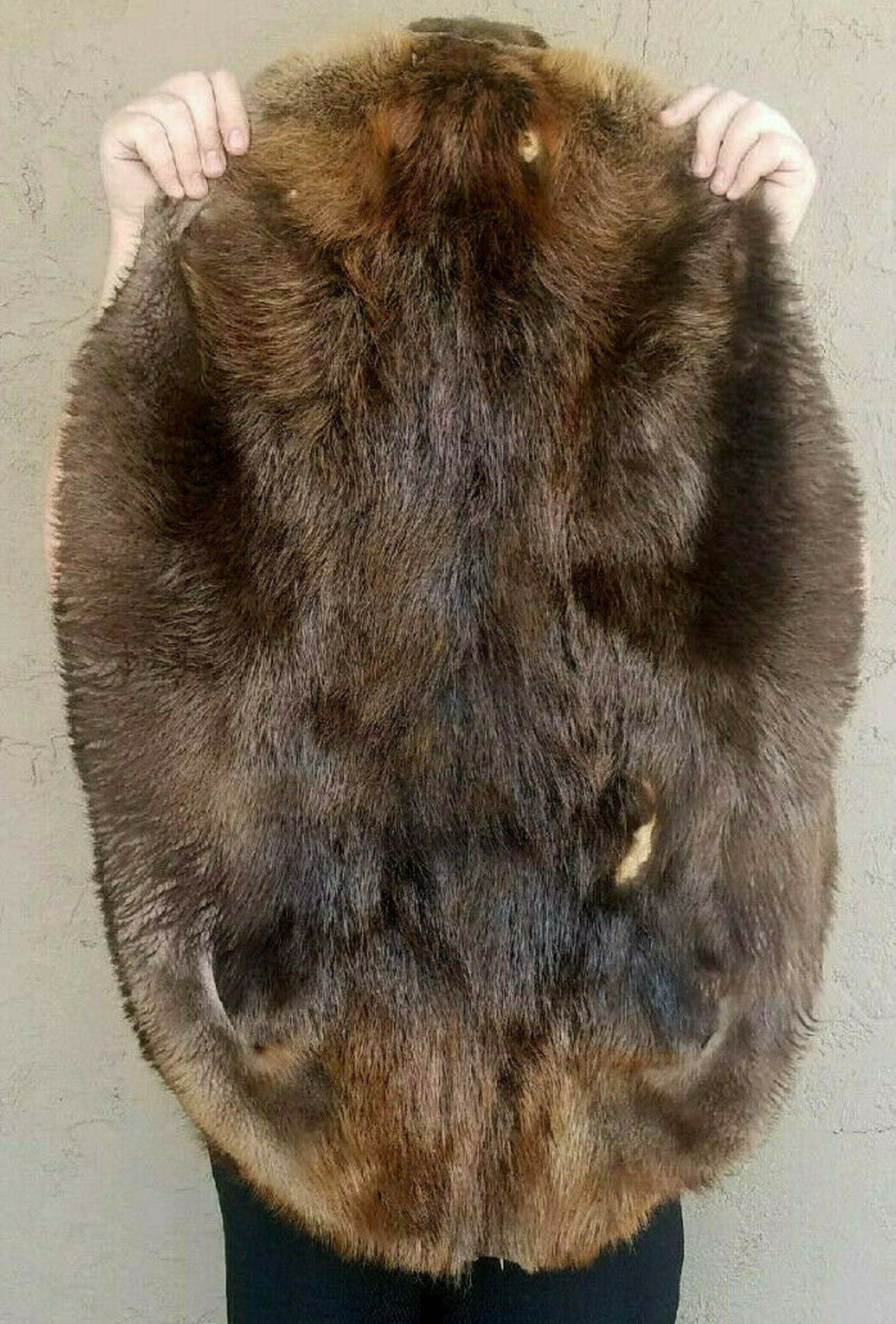 1 Tanned Beaver pelt Imperfect soft tanned hide Beaimp Etsy