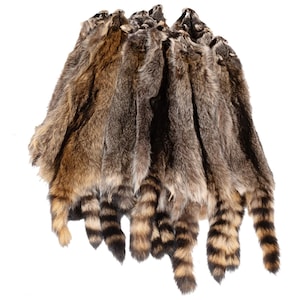 Raccoon Fur Pelt, Tanned