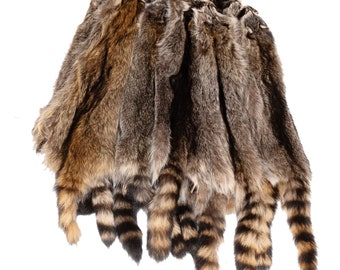 Tanned Raccoon Fur Pelt