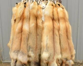 Tanned Red Fox Winter “Heavy Fur” Medium Grade Western Extra Large (rfwhmg) Vulpes vulpes