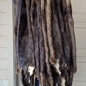 River Otter Pelt, Tanned