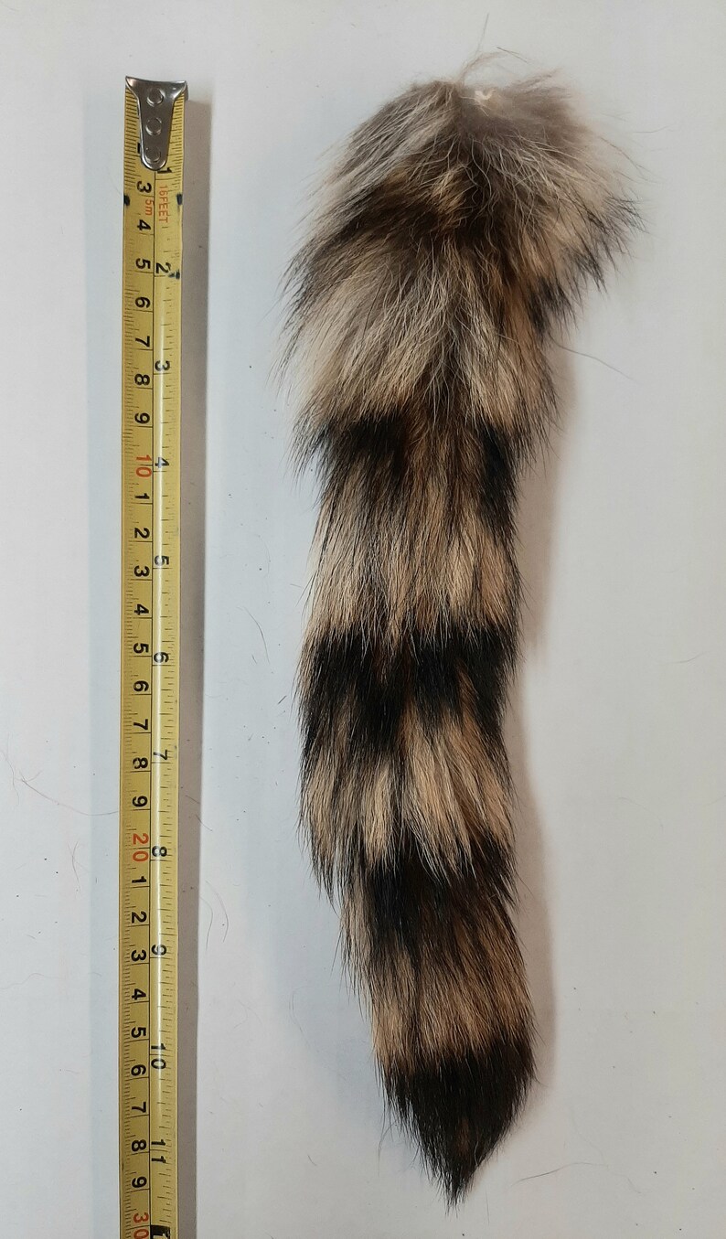 10 Raccoon Tail, Key Chain Option Etsy