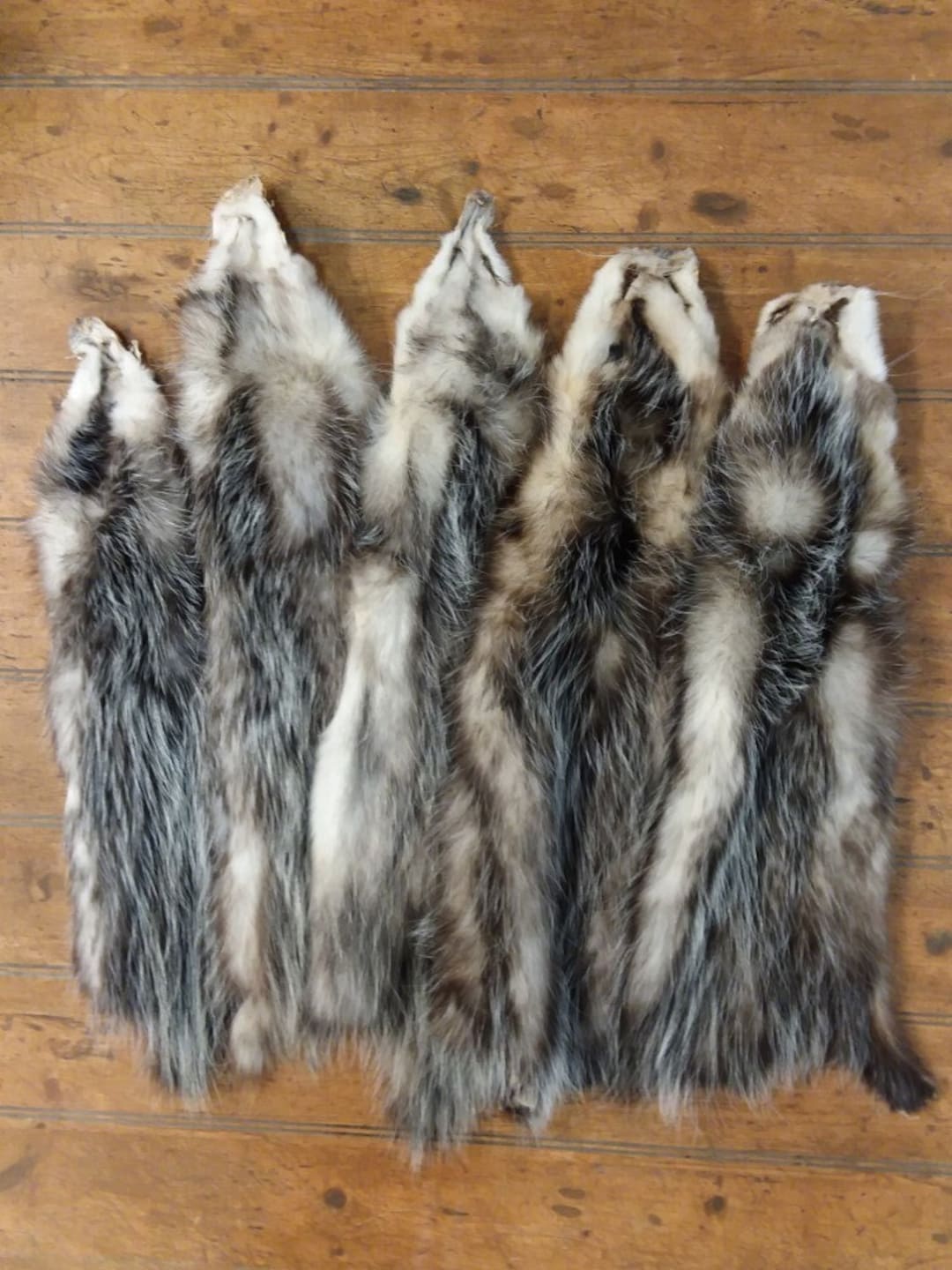 Tanned Opossum Fur Pelt Etsy